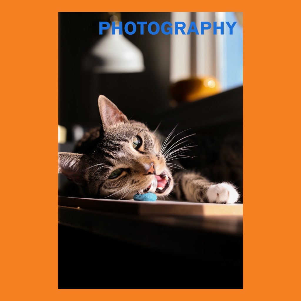 A Photoshoot Of My&nbsp;Boy